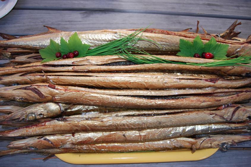 Pavilosta Marina Ngoại thất bức ảnh
